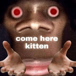 come here kitten