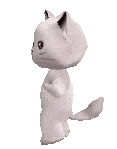 cat dance