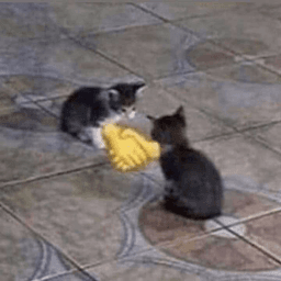 cathandshake