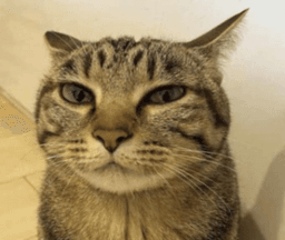 he knows what you did