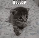 boobs? .gg/kreamy