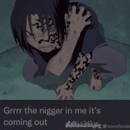 N word coming out
