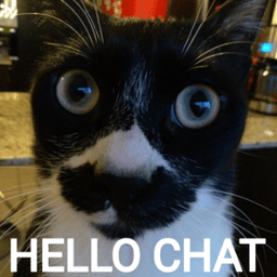 hellochat