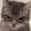 stinker | .gg/cutecats