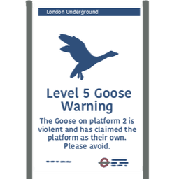 Goose Warning