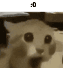 :0