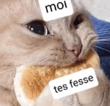 LP_NomNomTesFesses