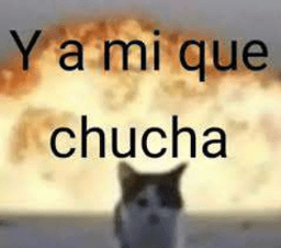 y ami que chucha