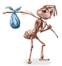 Homeless Ant 