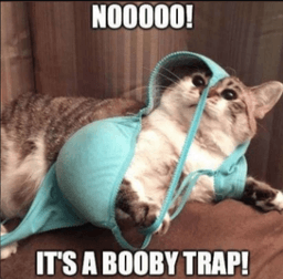 booby trap 