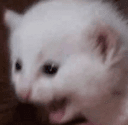 :AHH
