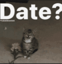 date ?