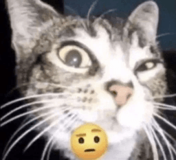 🐱‍🚀