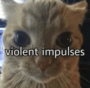 violent