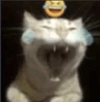 car laugh