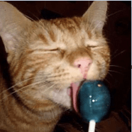 lick cat