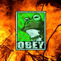 OBEY FROG