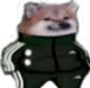 dogeswag