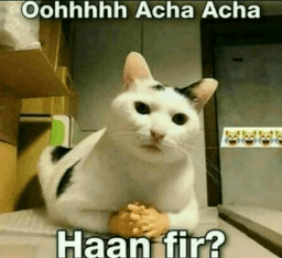 haan_fir