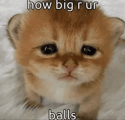 show balls