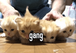 us gang
