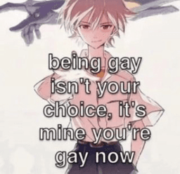 gay