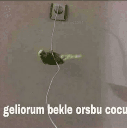 geliorum bekle