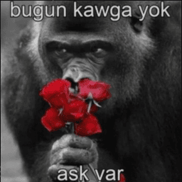 bugun kavga yok