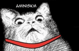 amınıskm