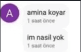 amina koyar im nasıl yok