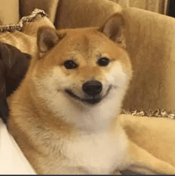 Doggu
