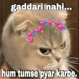 gaddari_nhi_pyar
