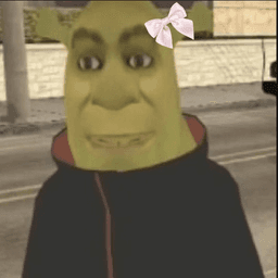 Coquette shrek