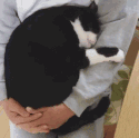pls don't leave me 