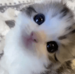 :3333333