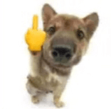 dedinho