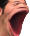 owwwshit