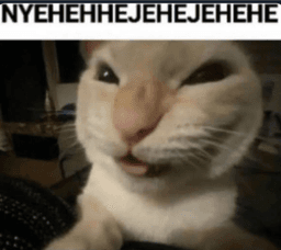 NYEHEHEHE