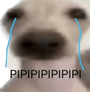 Pipipipi