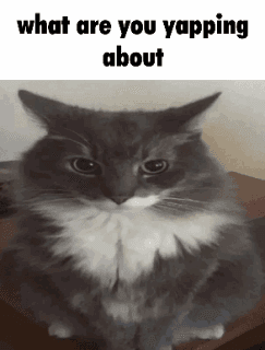 what are you yapping about