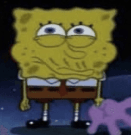 sponch