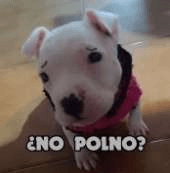 no?