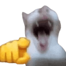 lol