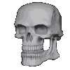 skull moment