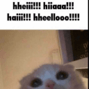 cat hello
