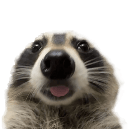 lil fella