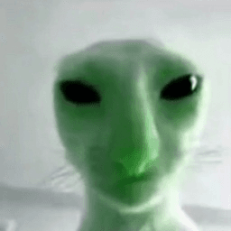 alienkitty