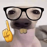 nerd