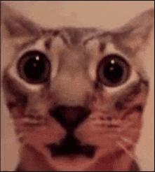 Shock