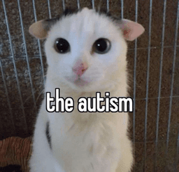 the autism 